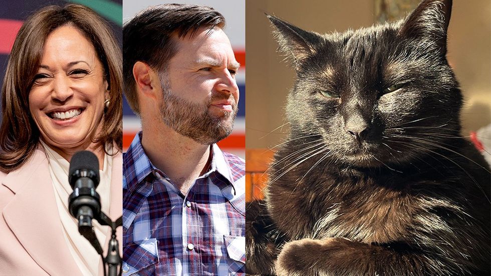 2024 democratic presidential nominee kamala harris republican VP pick JD vance baby cat Frodo looking sus