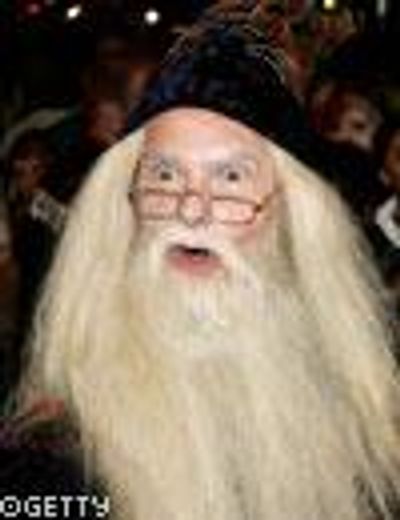 Harry Potter Hogwarts School Student Wizard Hat No Brim