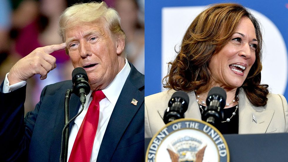 dummy donald trump vice president kamala harris