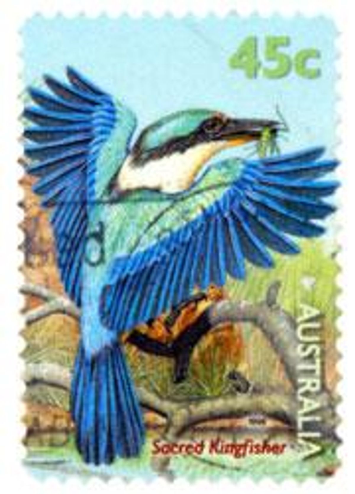 Kingfisherx180