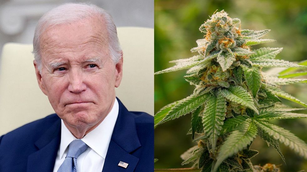 President Biden Marijuana