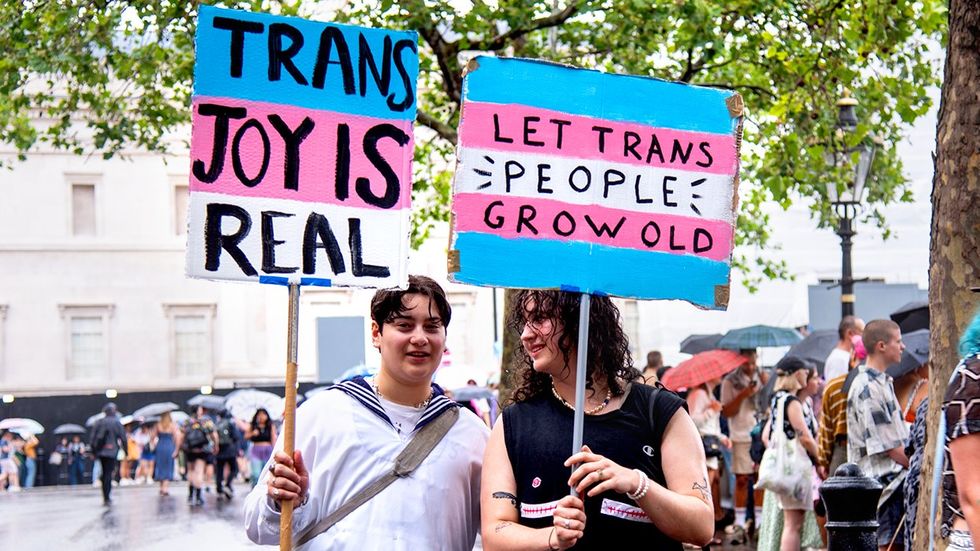 protest signs transgender flag trans joy grow old