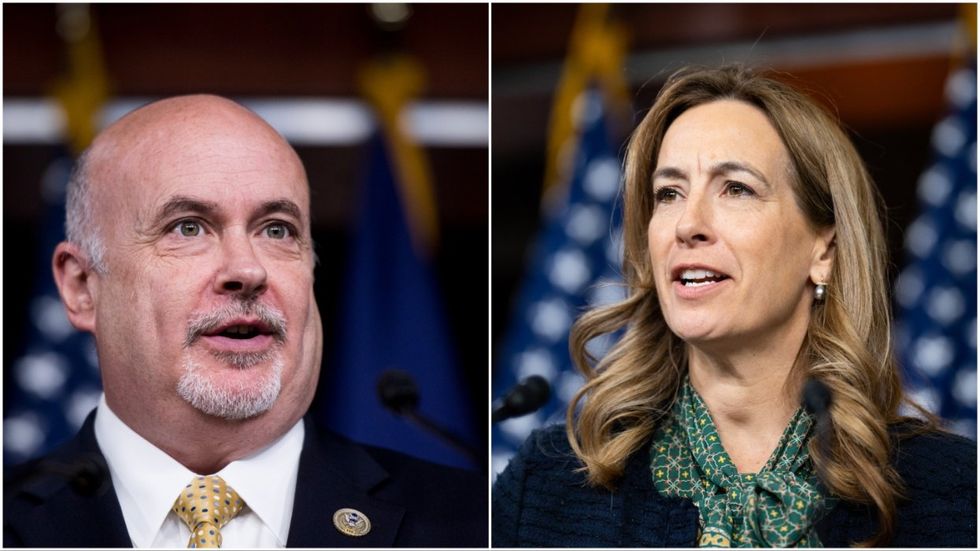 Rep. Mark Pocan and Rep. Mikie Sherrill