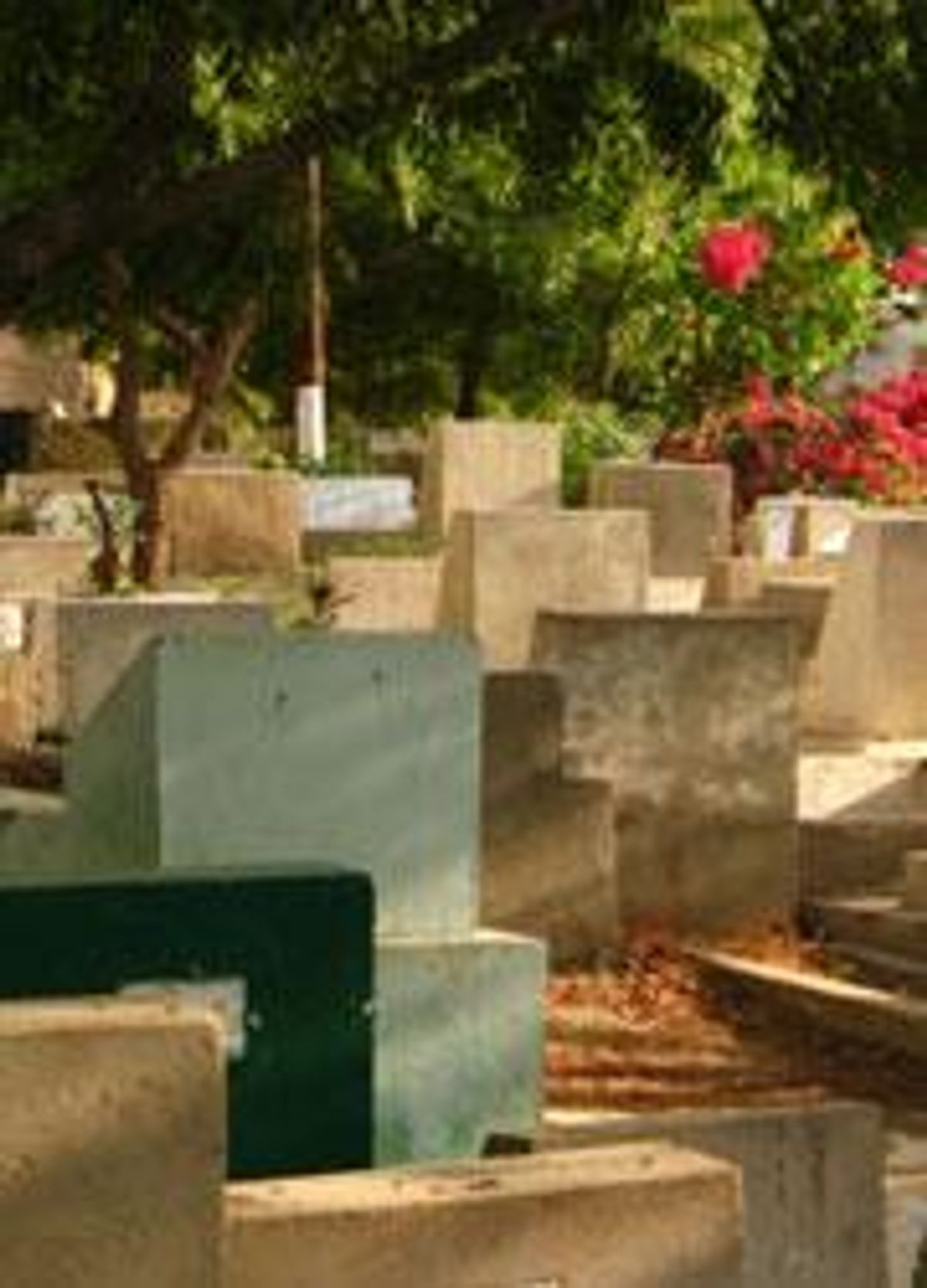 Senegal-graveyardx180