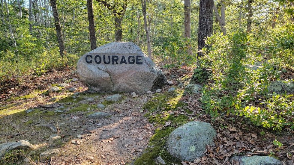 The wooded area near Gloucester, Mass., known as Dogtown