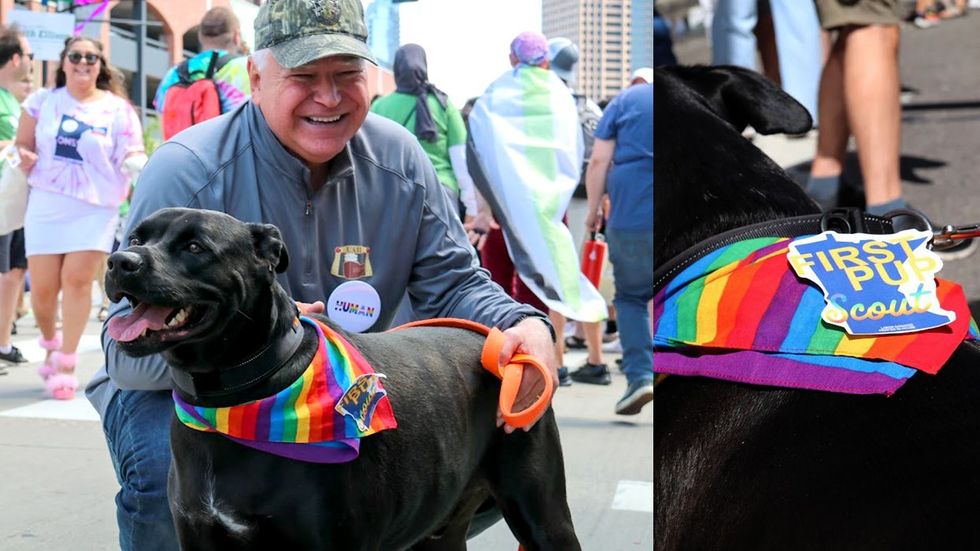 Tim Walz marching LGBTQ pride parade First Pup Scout rainbow bandana