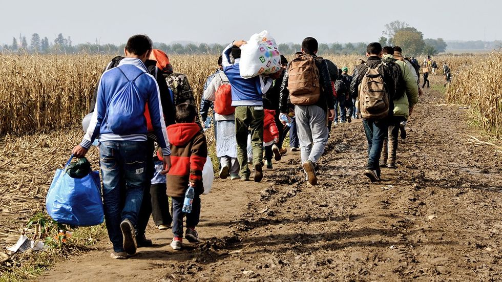 War Refugees walking through cornfield