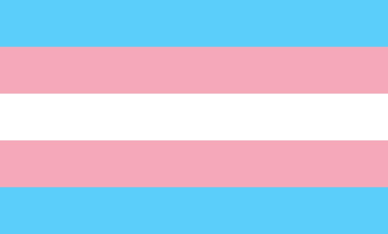 asexual trans gay flag