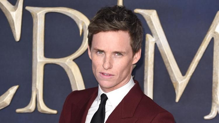 Actor Eddie Redmayne at a film screening